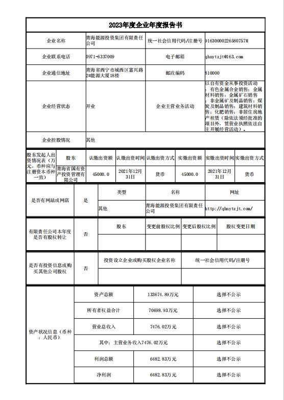 2023年度企業(yè)年度報告書1.png
